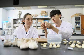安陽縣職業中等專業學校怎么樣？